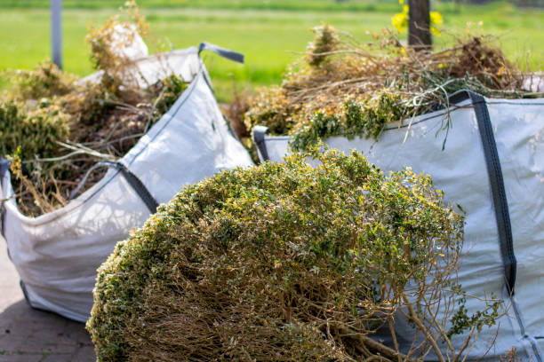 Debris Removal in Parsons, TN